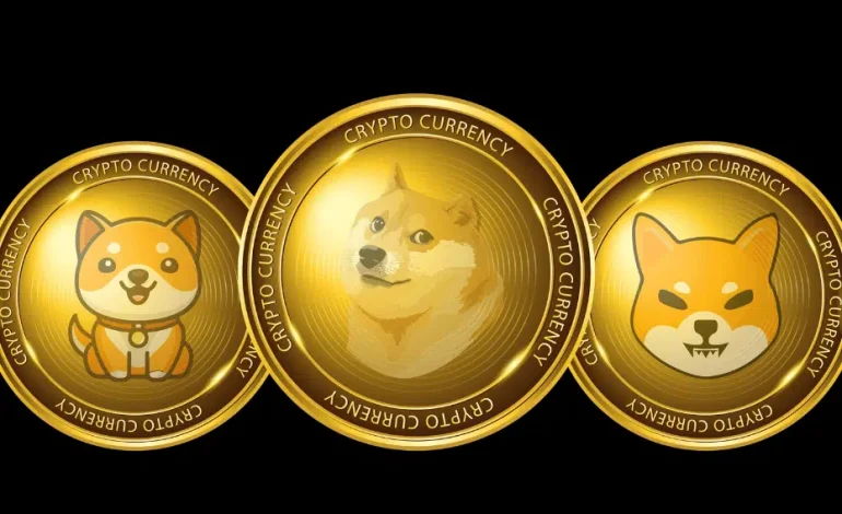 Success of Meme Coins in 2024: What drives their value? 